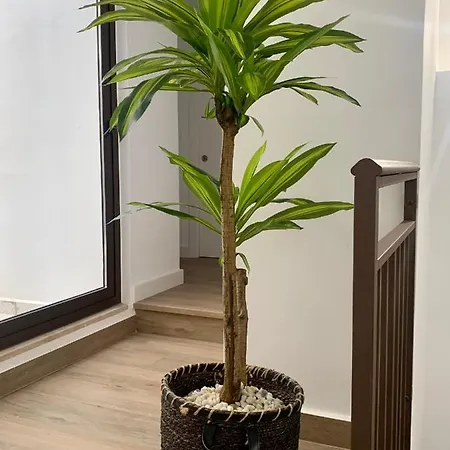 Lägenhet Puerta De 2 *