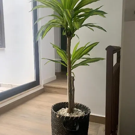 Puerta De 2 * Caceres