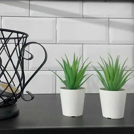 Puerta De 2 Lägenhet Caces