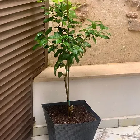 Apartment Puerta De 2 *