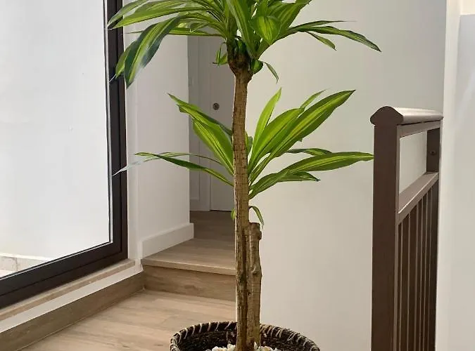 公寓 Puerta De 2 *